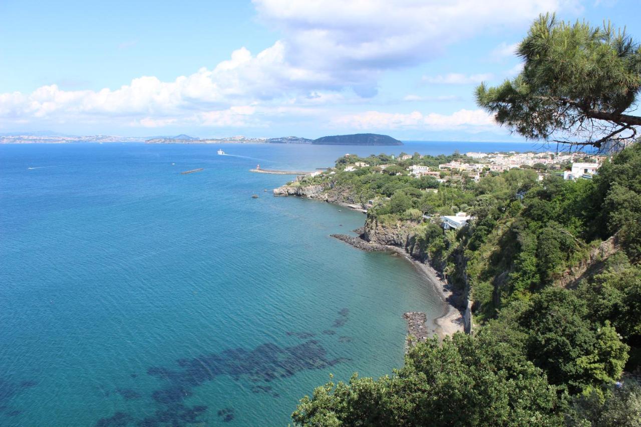 L'incanto Ischia Guest house Casamicciola Terme